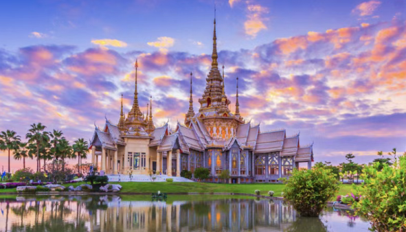 巅峰国际,上海巅峰国际,巅峰国际数据,巅峰国际海关数据